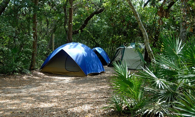 Namiot w lesie 