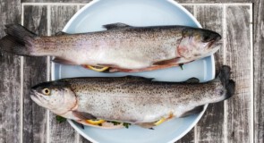 Dlaczego warto jeść ryby?